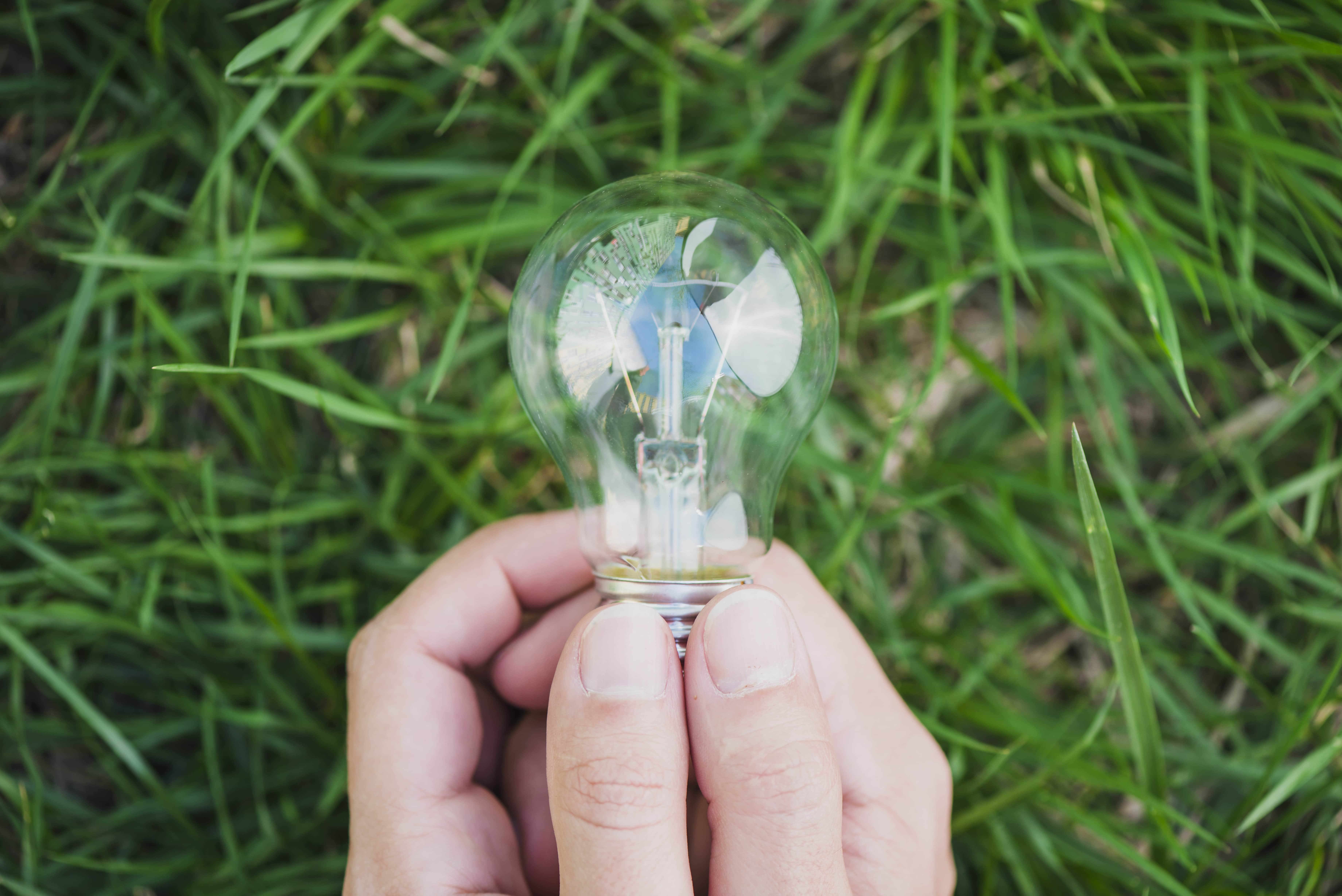 close-up-of-two-hands-holding-light-bulb-against-green-grass-min